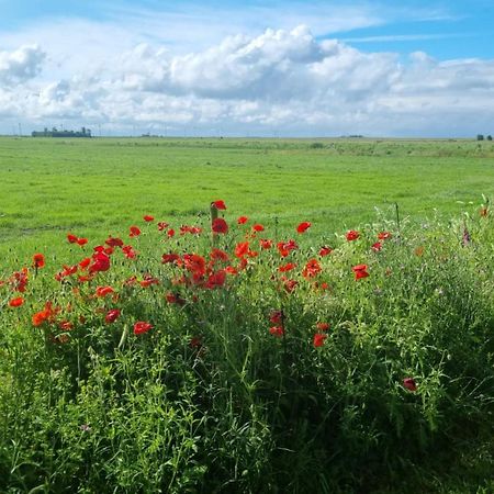 Lyklamastate Неємірдюм Екстер'єр фото